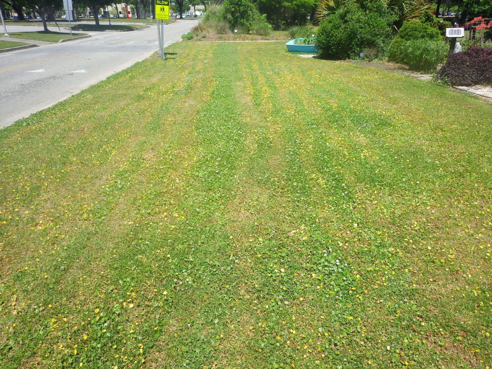 Care needed when using herbicides